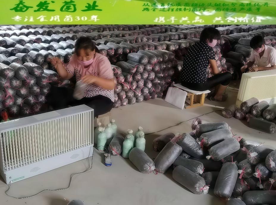接种生产