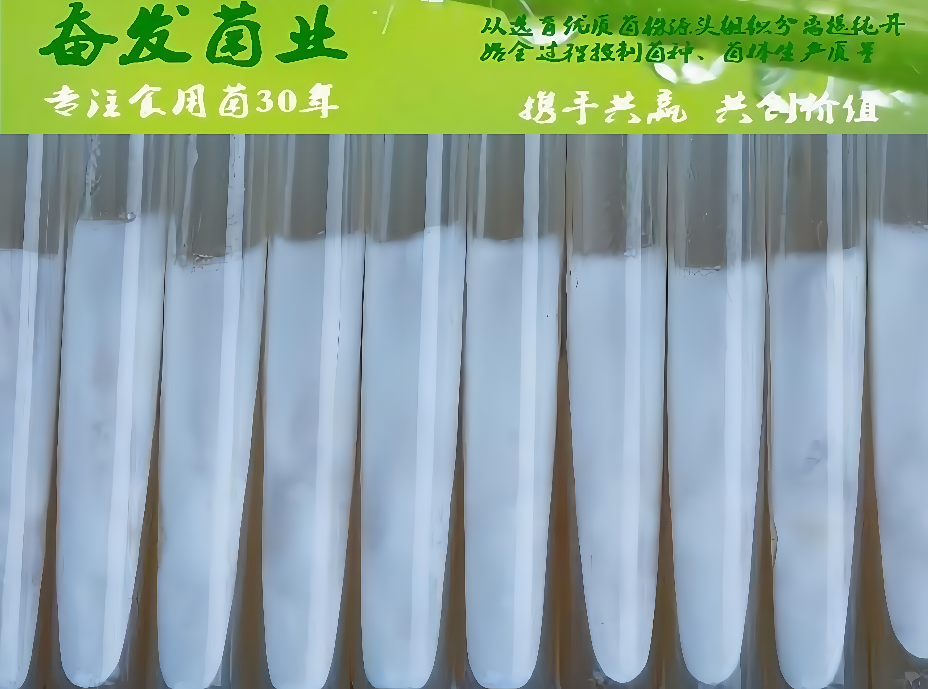 母种繁育