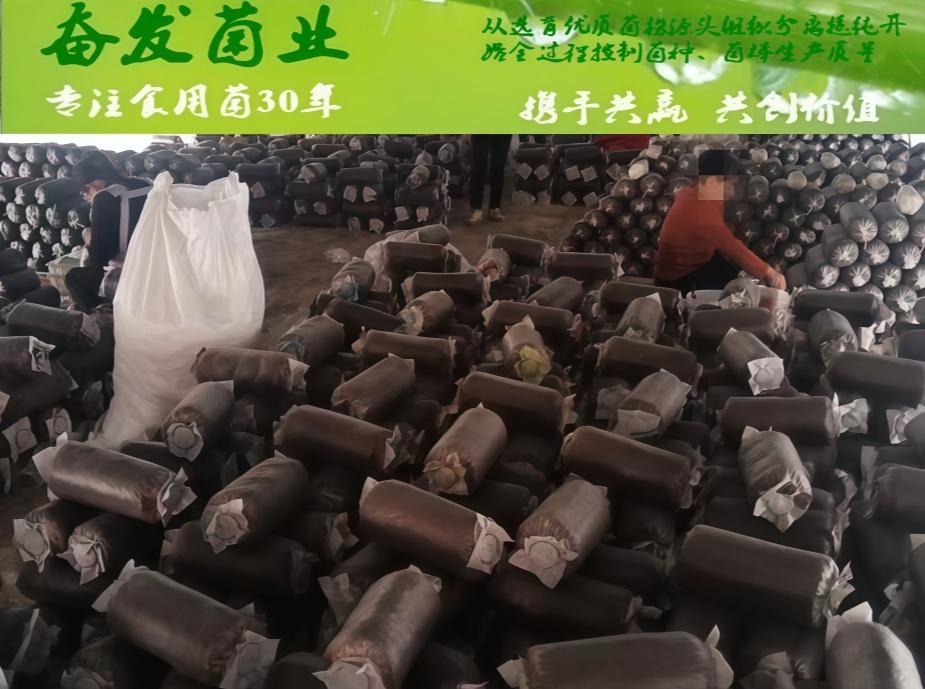 菌包生产