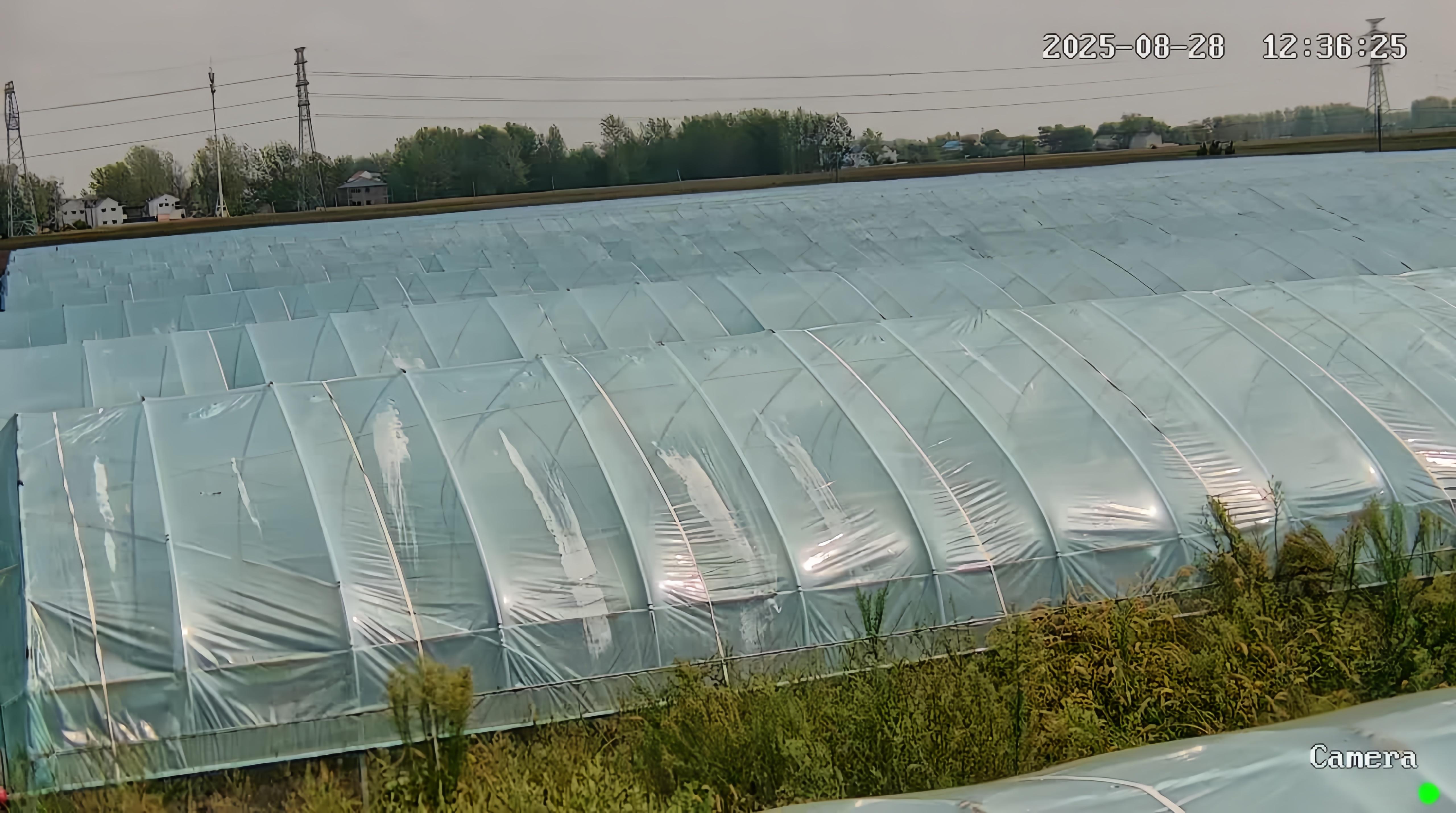 瓜果菜种植基地