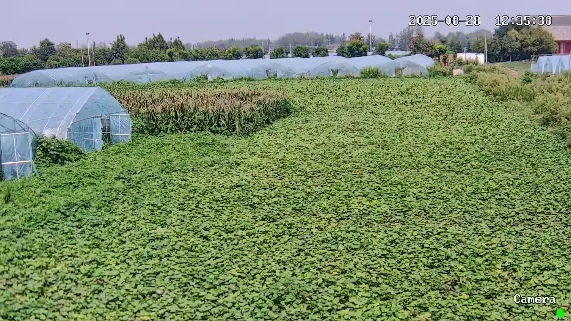 粮果菜基地
