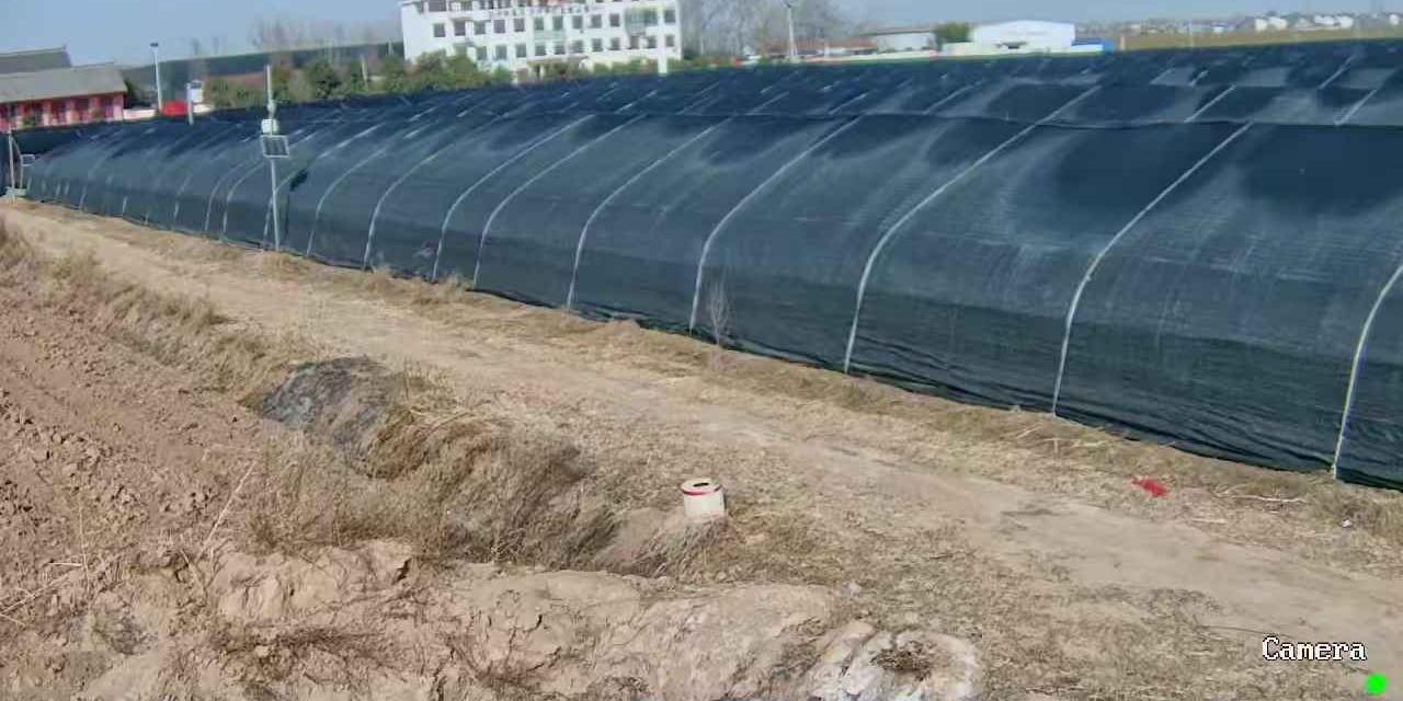 羊肚菌种植
