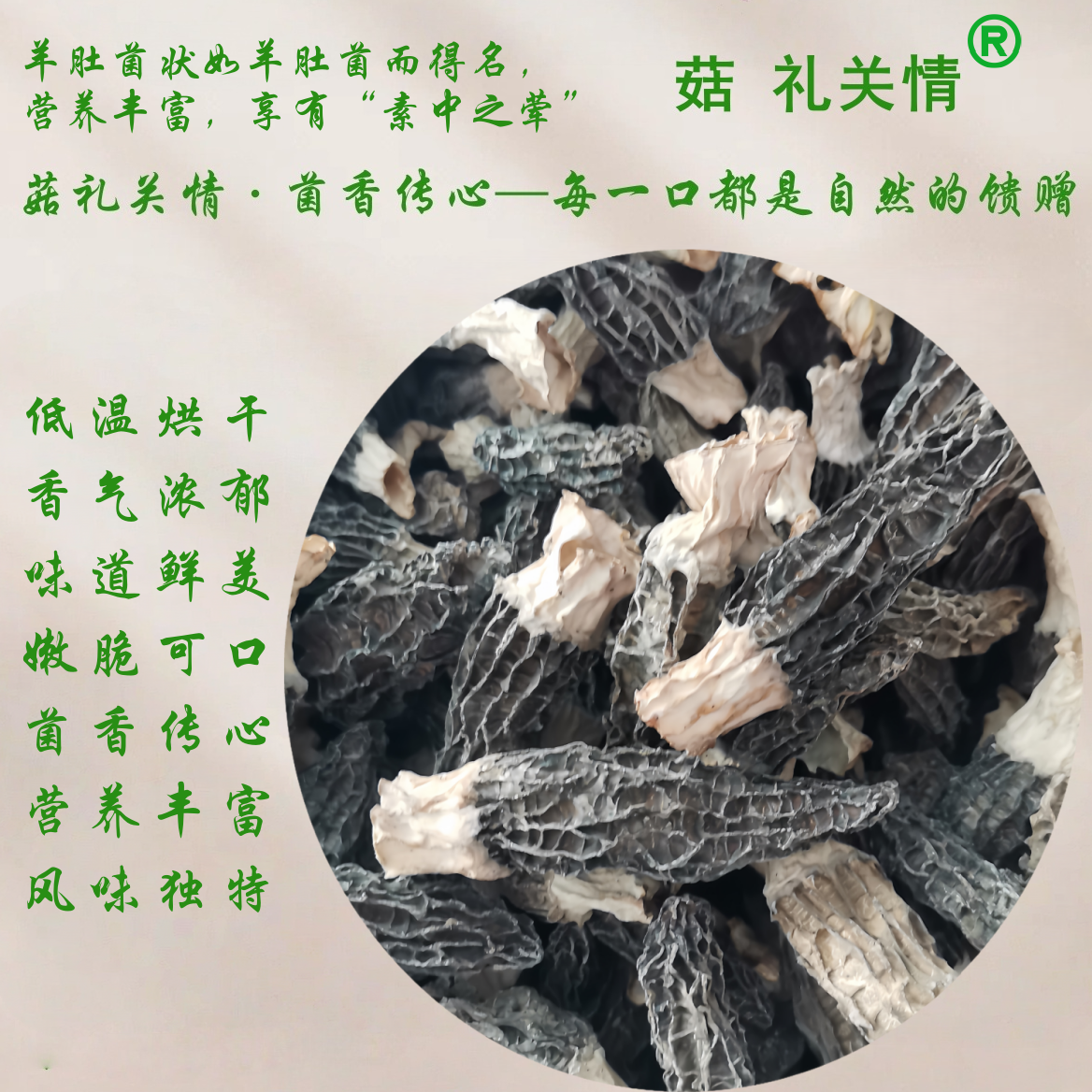 奋发菌菇品牌宣传