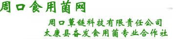 周口食用菌网 太康奋发食用菌  太康县食用菌 河南食用菌 周口食用菌  周口蕈链科技 太康县菌种厂 周口菌种