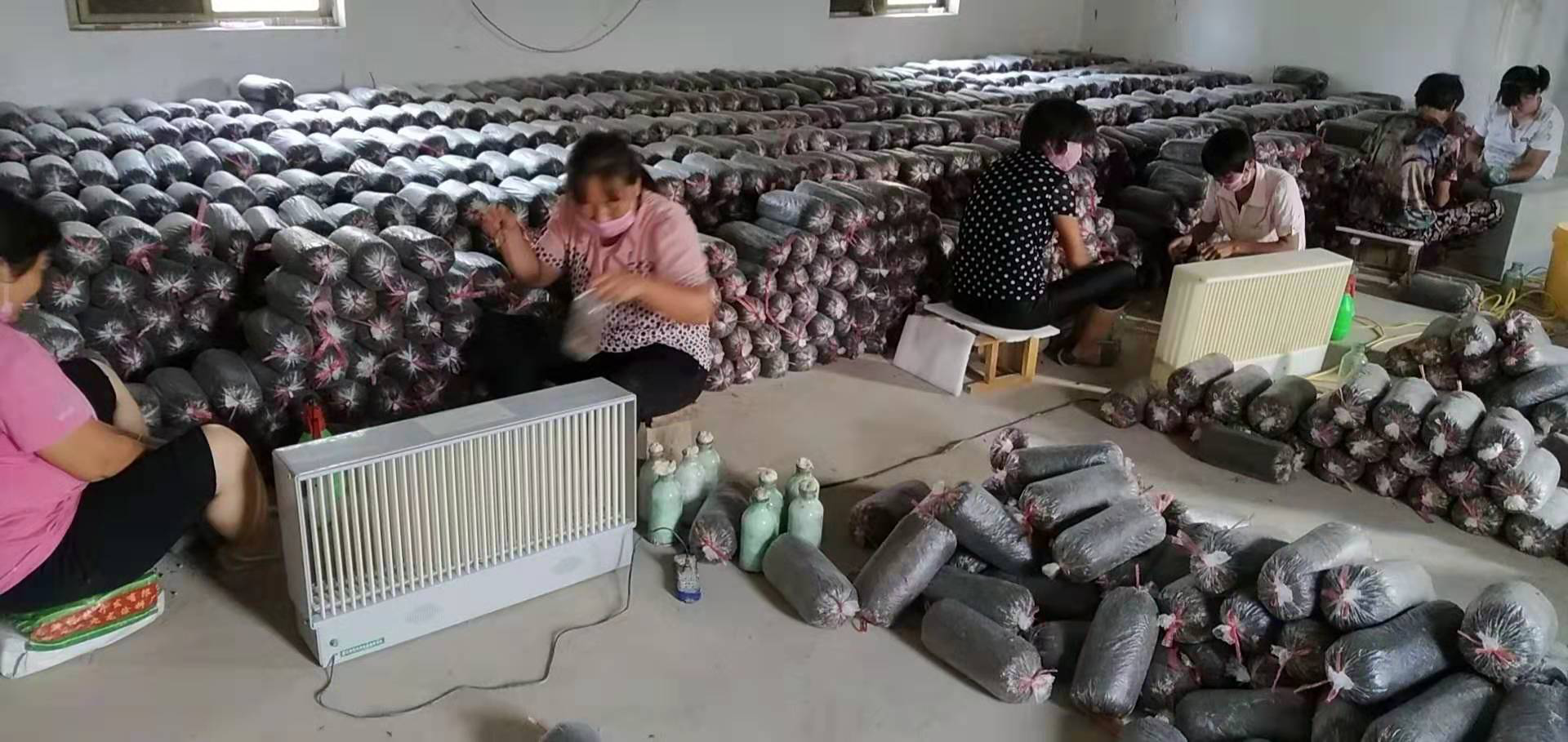 奋发菌业为农撑起致富伞