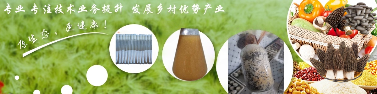 1665735675_副本.jpg